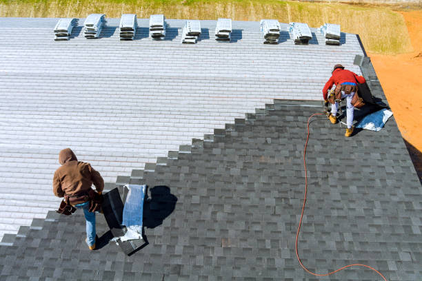 Best Roof Gutter Cleaning  in Jacksonwald, PA