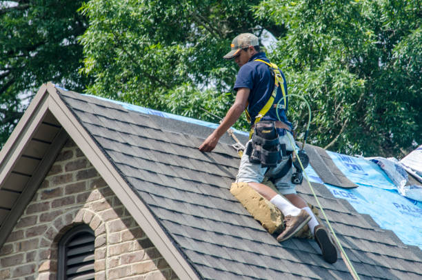 Best Gutter Installation and Roofing  in Jacksonwald, PA